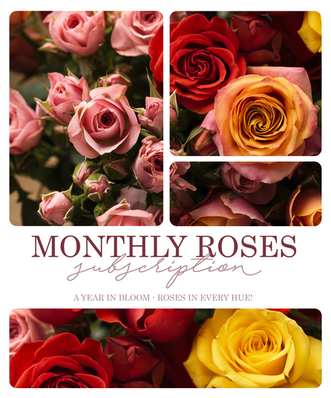 Monthly Rose Subscription - A Year In Bloom