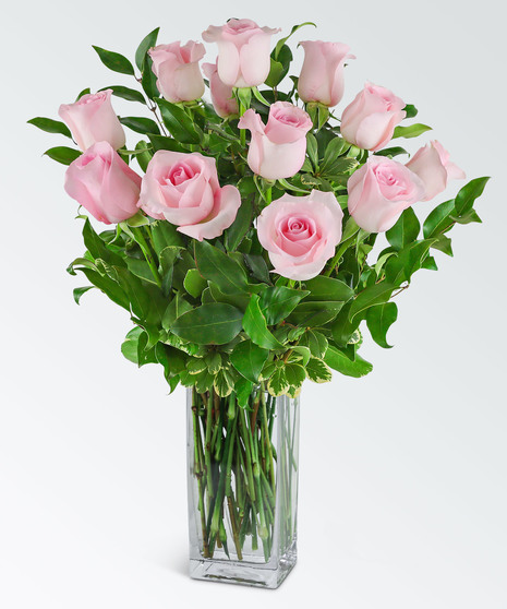 One Dozen Light Pink Roses - Forever Adored Collection